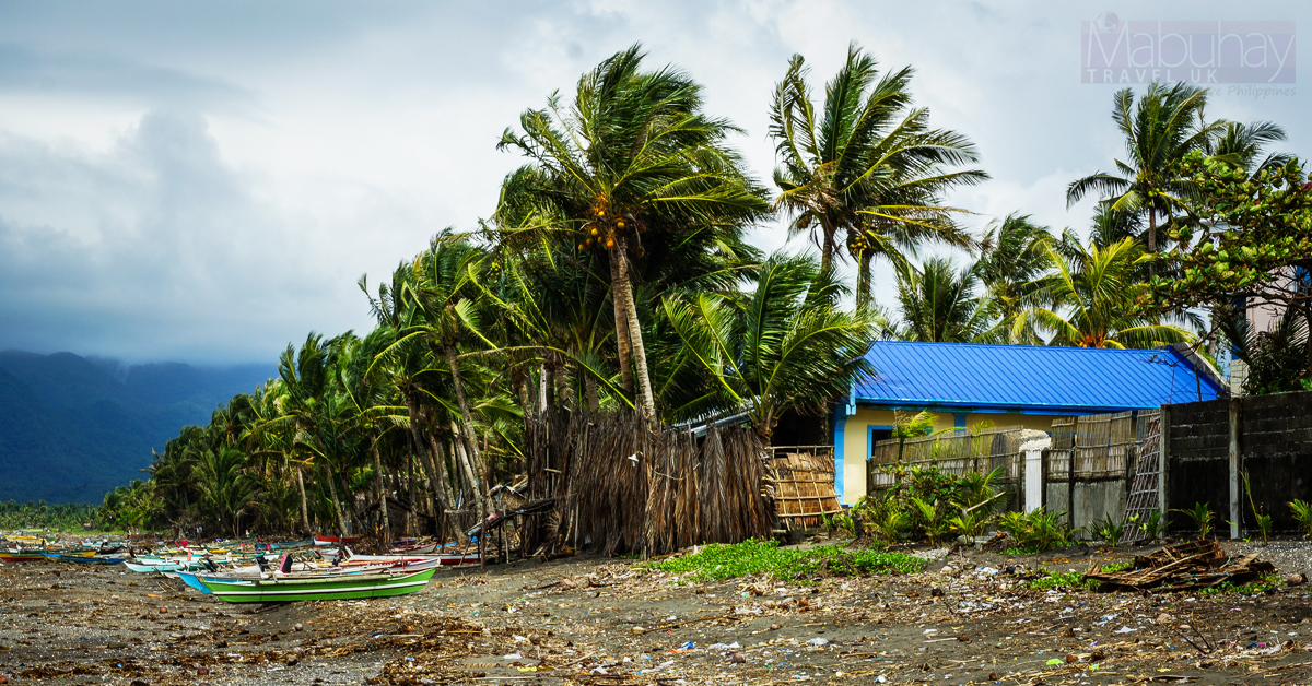 Typhoon Goni