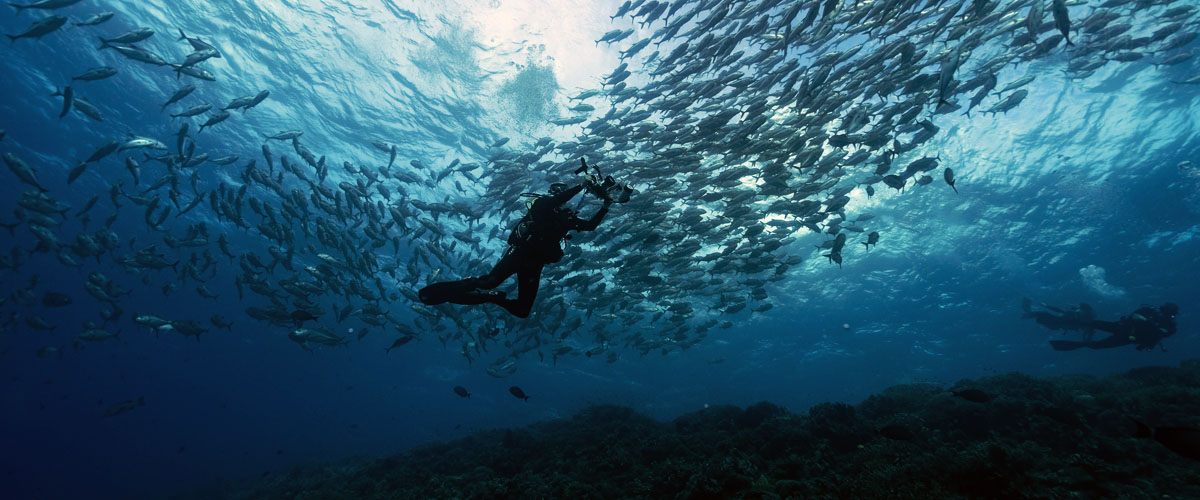 Tubbataha Reefs Natural Park-