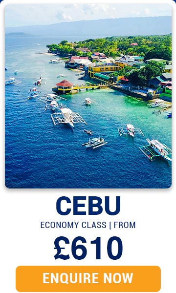 Singapore Arline Flights - Cebu