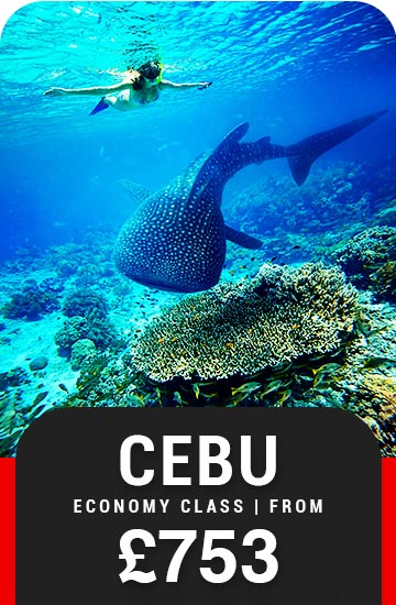 2022 flight offers - Cebu