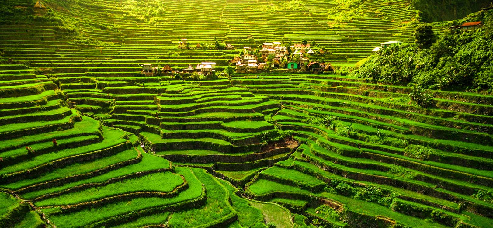 Philippines tourist attractions - Rice Terraces