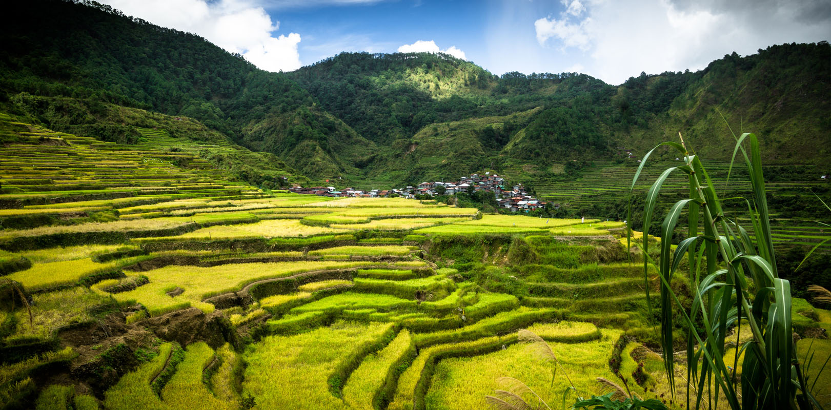 Natural Wonders of the Philippines - Banaue Rice Terraces 