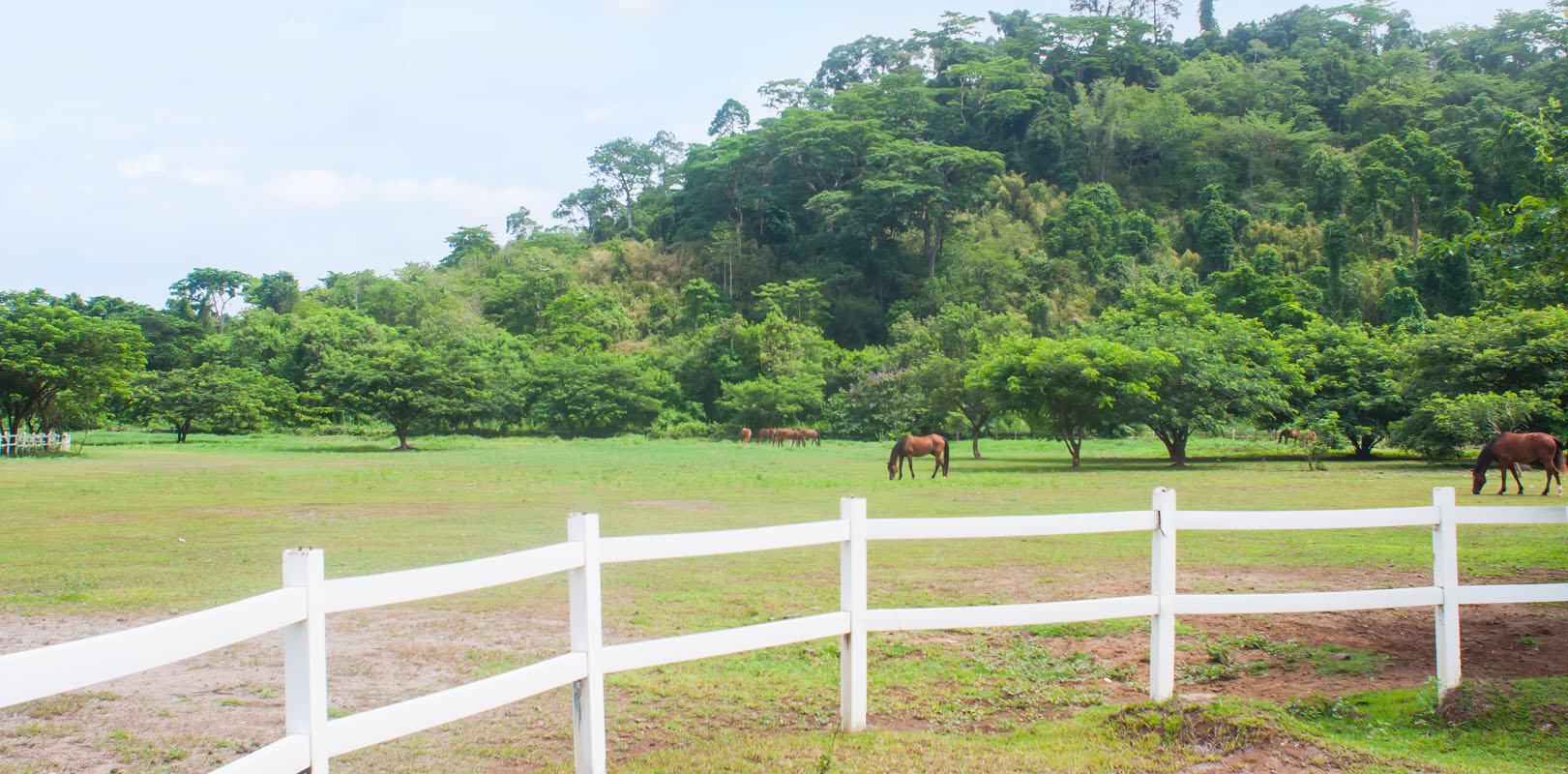 Tourist attractions in Clark Pampanga - el kabayo